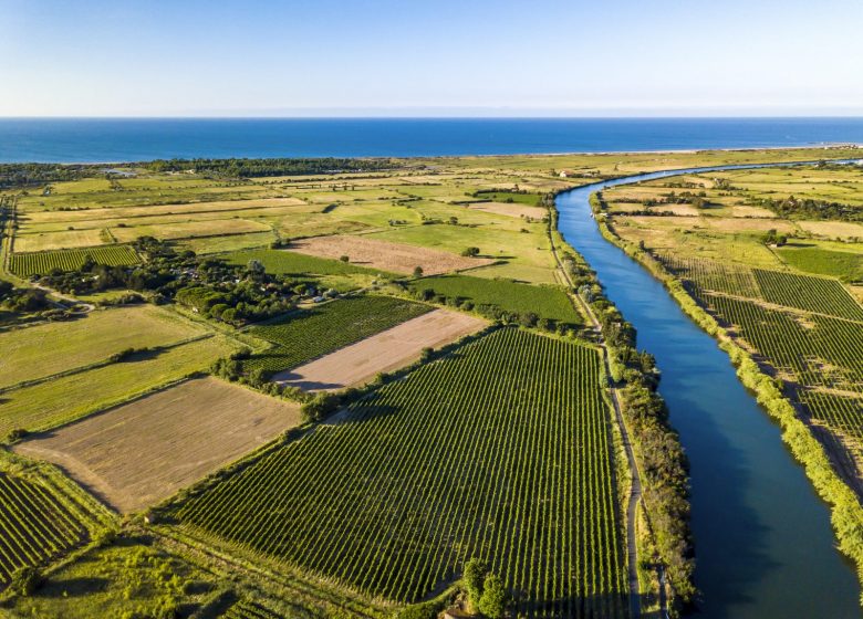 LES VIGNERONS DE SERIGNAN