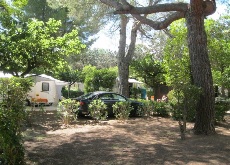 CAMPING LE REBAU