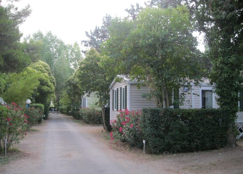 CAMPING LE REBAU