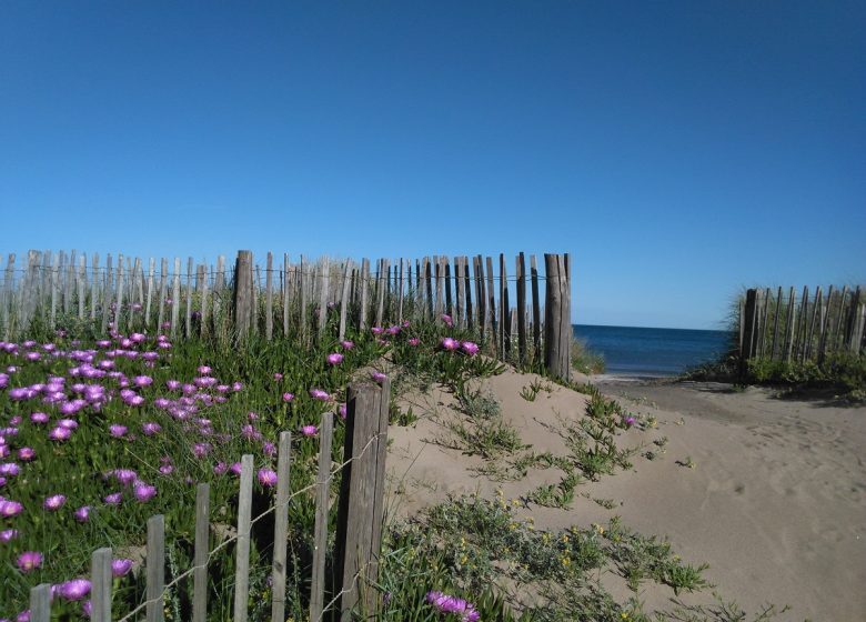 EN 1ERE LIGNE  ET ACCÈS DIRECT A LA PLAGE AU „FLOTS BLEUS“ A VALRAS-PLAGE