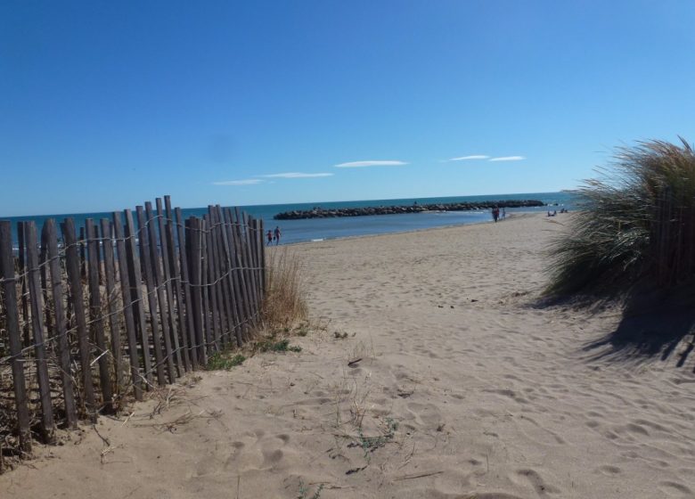 EN 1ERE LIGNE  ET ACCÈS DIRECT A LA PLAGE AU „FLOTS BLEUS“ A VALRAS-PLAGE