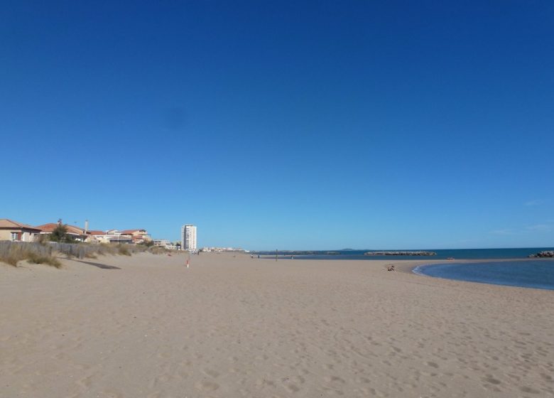 EN 1ERE LIGNE  ET ACCÈS DIRECT A LA PLAGE AU „FLOTS BLEUS“ A VALRAS-PLAGE