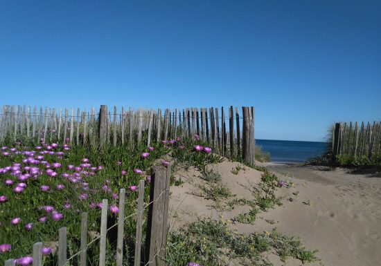 VALRAS-PLAGE APPARTEMENT LE MÉDITERRANÉE FRONT DE MER