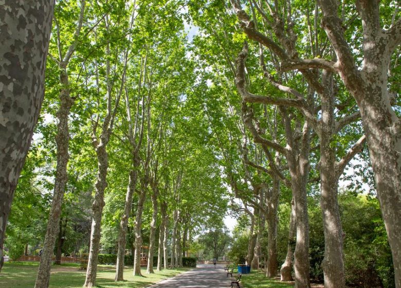 JARDIN DE LA PLANTADE