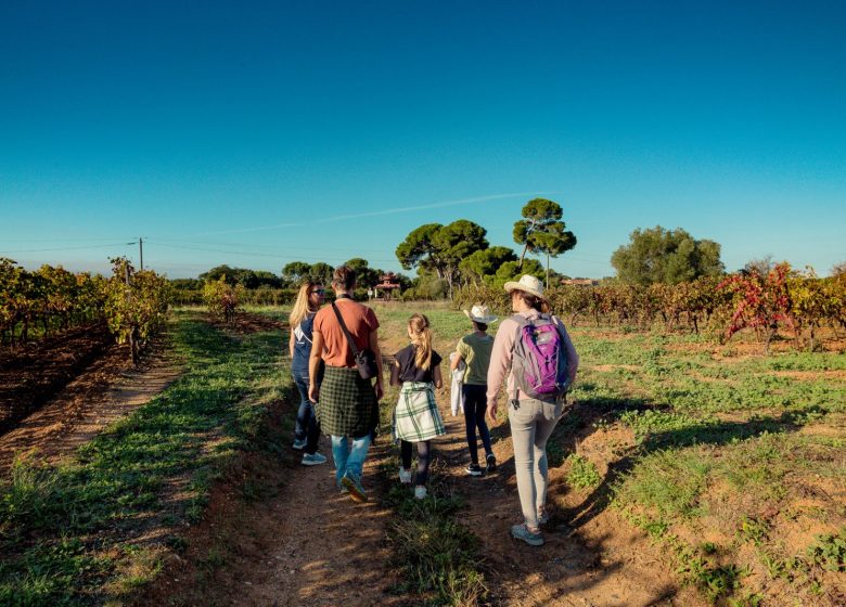 WANDERUNG ÜBER DIE HÖHENWEGE VON ALIGNAN DU VENT