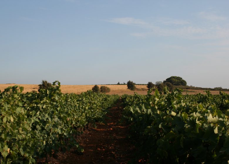 WEINGUT LA BARTHE