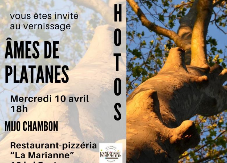 EXPOSITION „ÂMES DE PLATANES“ – VILLENEUVE-LÈS-BÉZIERS