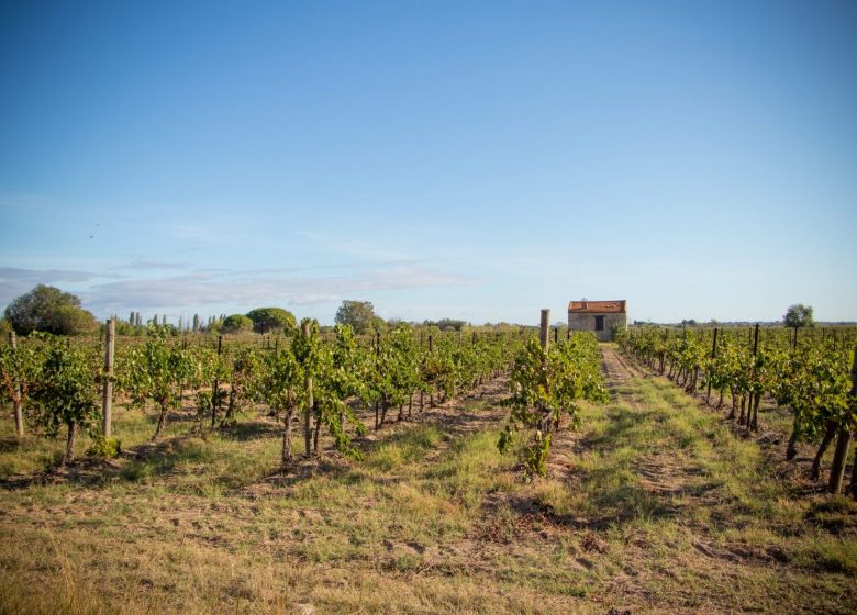 WANDERUNG DER PASSEJADE DEL CRES