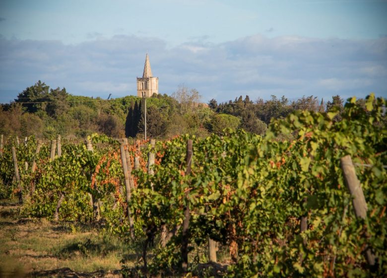 WANDERUNG DER PASSEJADE DEL CRES